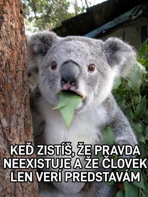 Predstavy